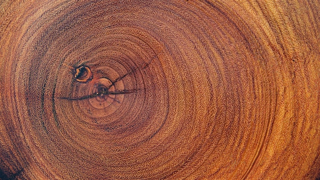 natuurlijk hout log textuur