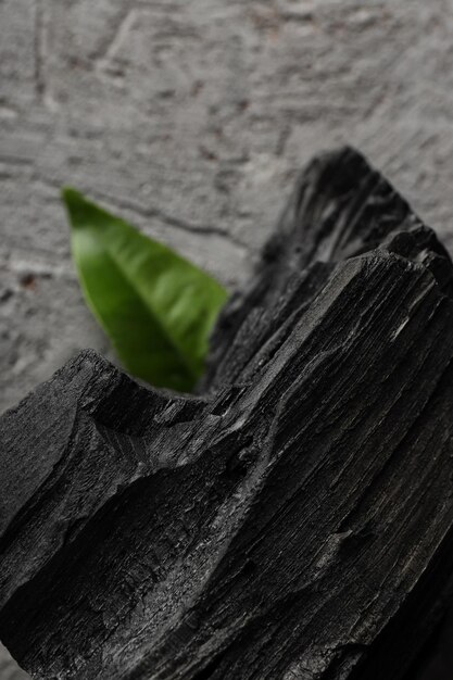 Natuurlijk hout of hardhout houtskool close-up