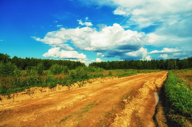 Natuurlijk landschap in het vroege voorjaar in Rusland