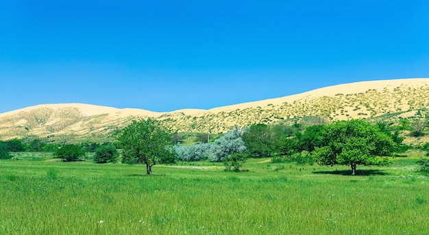 Natuurlijk landschap met een enorme zandduin Sarykum op de achtergrond