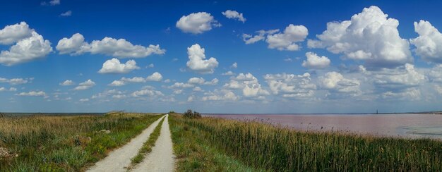 Foto natuurlijk landschap met een roze zoutmeer