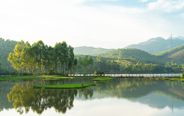 Natuurlijk landschap van bergen en bossen in Vietnam