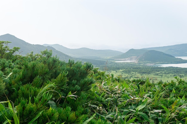 Natuurlijk landschap van het eiland Kunashir uitzicht op de Golovnin vulkaancaldera met hete meer focus op nabijgelegen planten