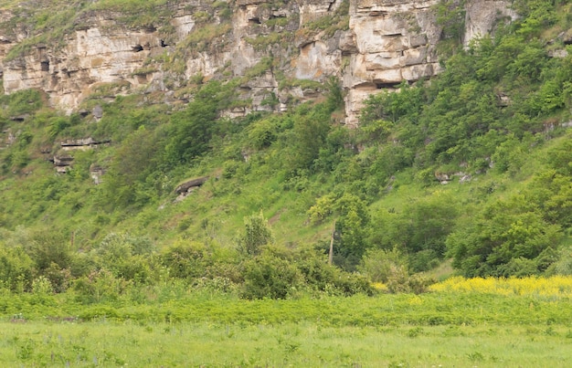 Natuurlijk landschap van rotsachtige bergen in de natuur