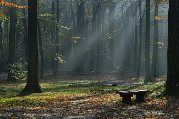 Natuurlijk licht in de natuur professionele fotografie