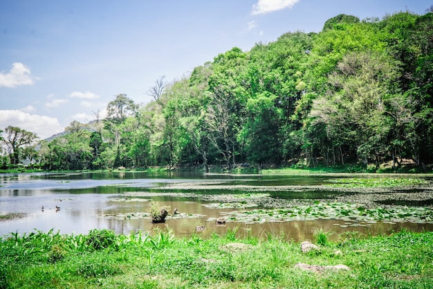 Natuurlijk meer in Matagalpa, Nicaragua