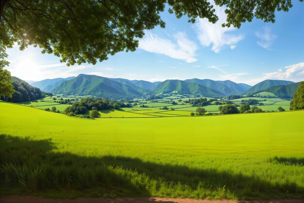 Natuurlijk schilderachtig panorama groen veld