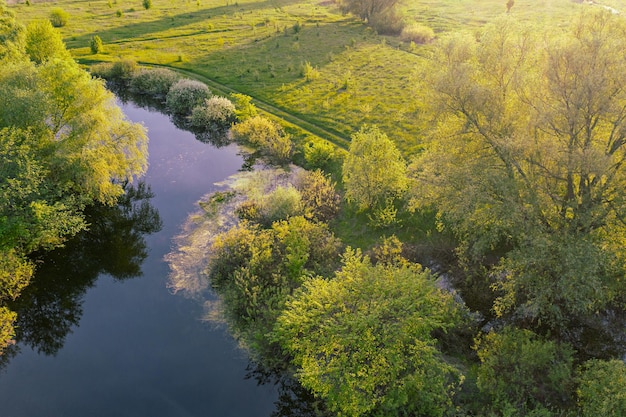 Natuurlijk seizoensgebonden lentelandschap met zonnige bomen, groene weide en rivier met reflectie