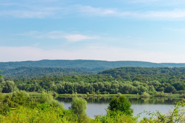 Natuurlijk uitzicht op een landelijke vijver en een groen bos. Heldere blauwe lucht