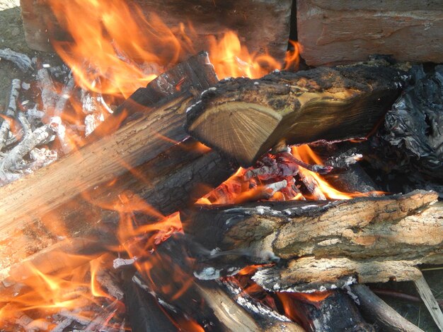 Natuurlijk vuur verbrandt brandhout.