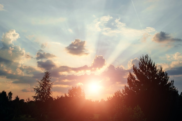 Natuurlijk zonsonderganglandschap