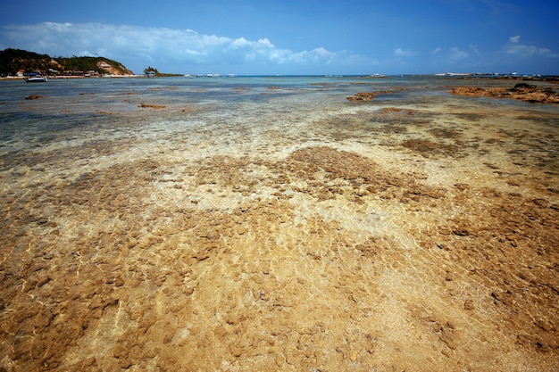 Natuurlijk zwembad in het paradijs, morro de sao paulo, salvador, brazilië