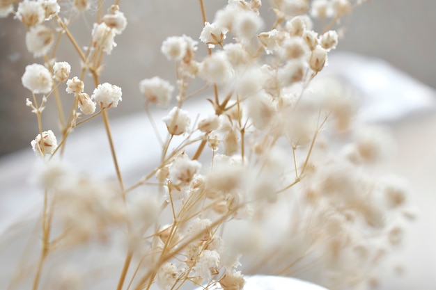 Natuurlijke achtergrond bladeren bloemen planten