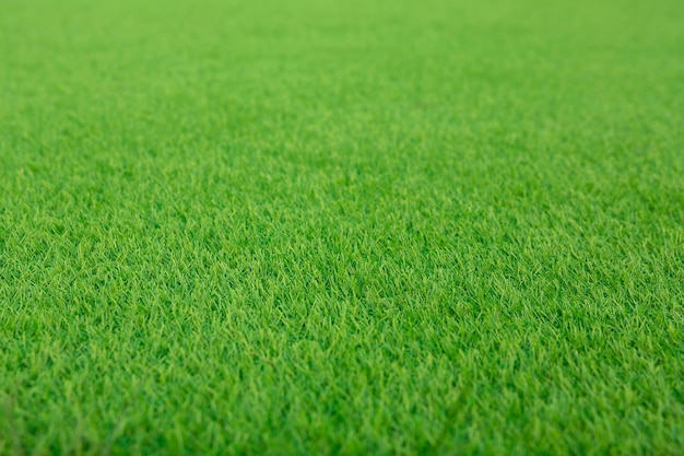 Natuurlijke achtergrond en textuur Kunstgras, groenblijvend gras Zijaanzicht Kunstgras