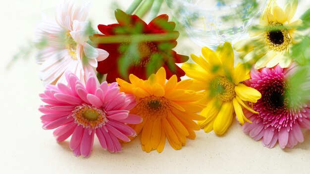 Foto natuurlijke achtergrond met bloemen