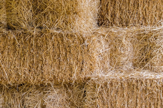 Natuurlijke achtergrond van balen gele stroxA