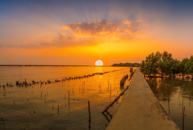 Natuurlijke achtergrond van route te midden van de zee en het mangrovebos en prachtige natuur tijdens sunri