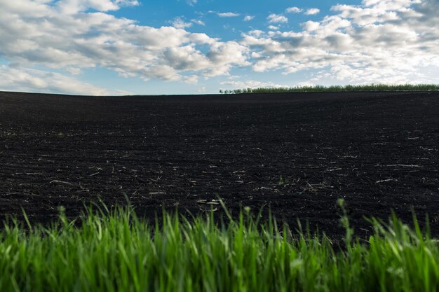 Natuurlijke achtergrond van zwarte landbouwgrond in zonnige dag.