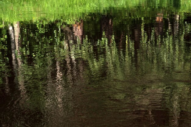 natuurlijke achtergrond waterlandschap glanzend wateroppervlak met reflectie