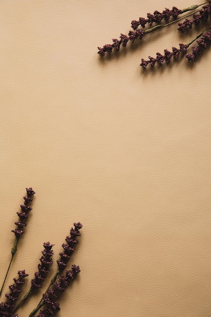 Natuurlijke beige achtergrond met een droge bloem Bovenaanzicht Ruimte voor tekst kopiëren