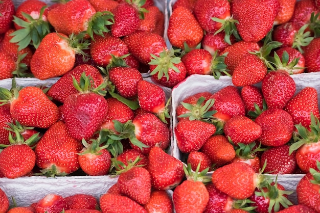 Natuurlijke biologische aardbeien in dozen op een boerenmarkt