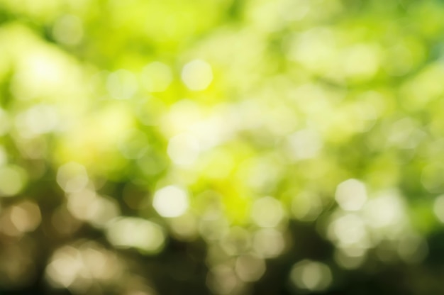 Natuurlijke bokeh buitenshuis in groene en gele tinten