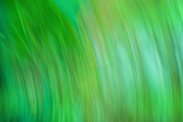 Natuurlijke bokehvervaging Omgeving lege groene bokeh en groene bladachtergrond