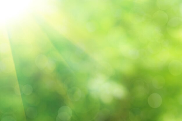 Natuurlijke buitenbokeh in groene en gele tinten met zonnestralen