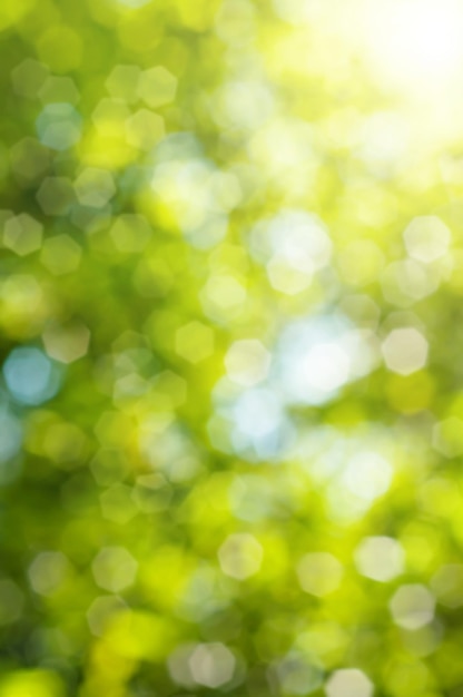 Natuurlijke buitenshuis bokeh achtergrond in groene en gele tinten met zonnestralen