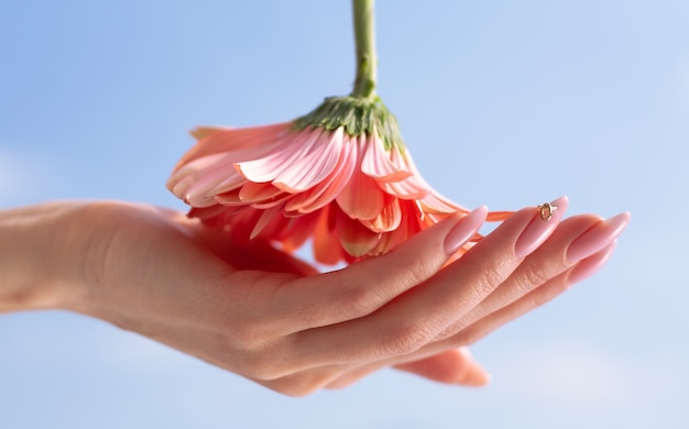 Natuurlijke cosmetica voor handen, luxe schoonheids- en spa-salon, manicure en massageconcept