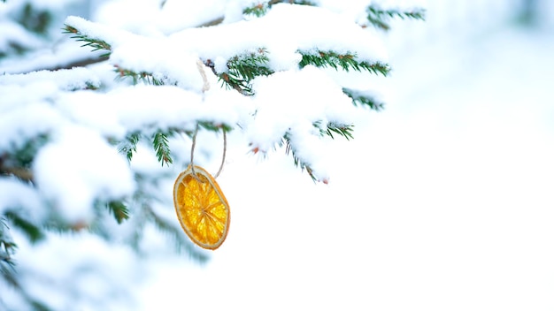 Natuurlijke decoratie voor de kerstboom. Geurige sinaasappelschijfjes