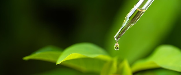 Foto natuurlijke etherische olie in een fles laten druppelen op een biomedische druppelaar voor een onscherpe achtergrond