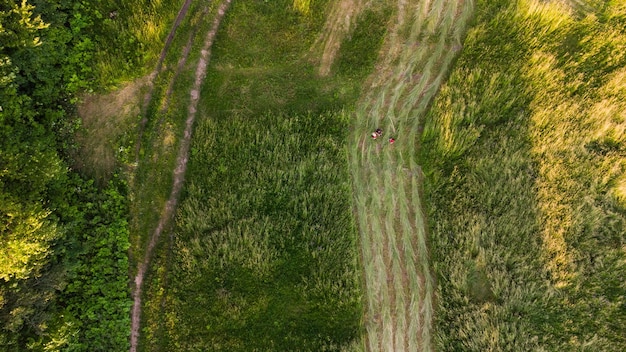 Natuurlijke grastextuur, Luchtmening van park.