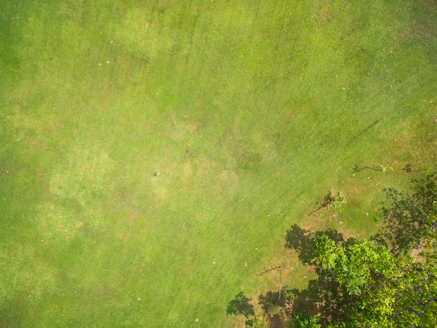 Natuurlijke grastextuur