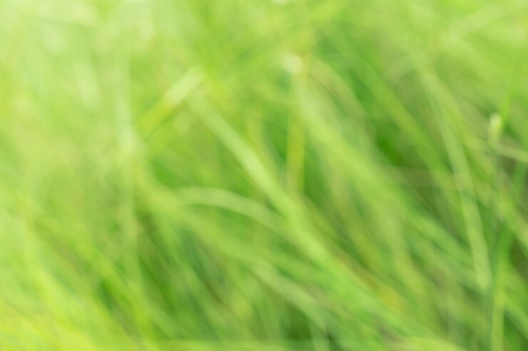 Foto natuurlijke groene achtergrond