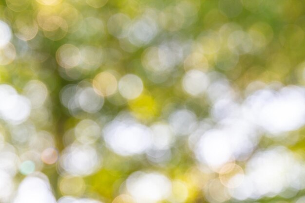 Foto natuurlijke groene bokeh abstracte achtergrond