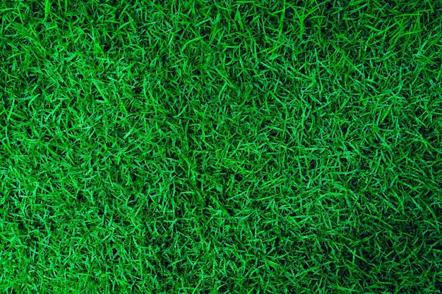 Natuurlijke groene grastextuur met waterdruppeltjes Perfecte golf- of voetbalveldachtergrond Bovenaanzicht