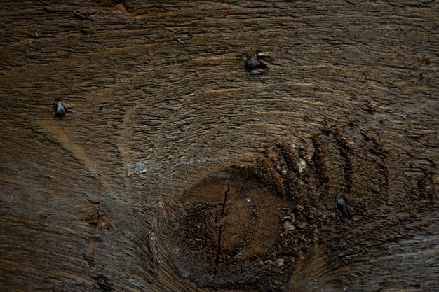 Natuurlijke houtstructuur Achtergrond Amandelboom Houtnerfstructuur Donkere houten achtergrond