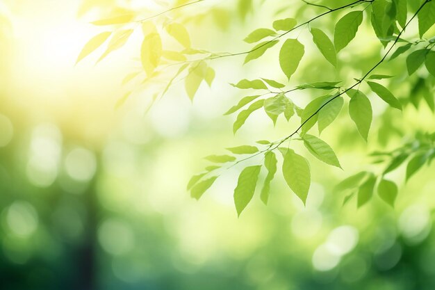 Natuurlijke lente wazige groene bladeren Achtergrond