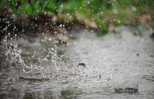 Natuurlijke omgeving