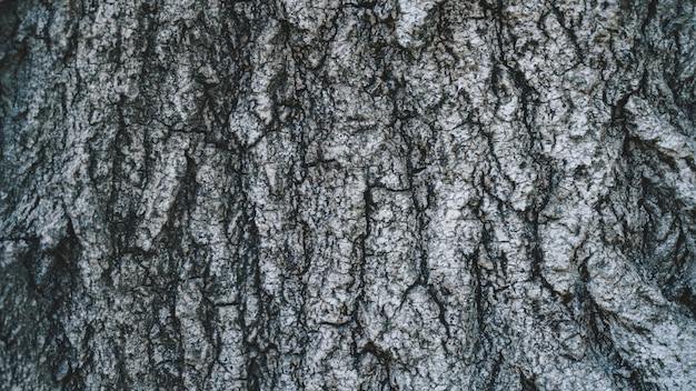 Natuurlijke oude houten textuur