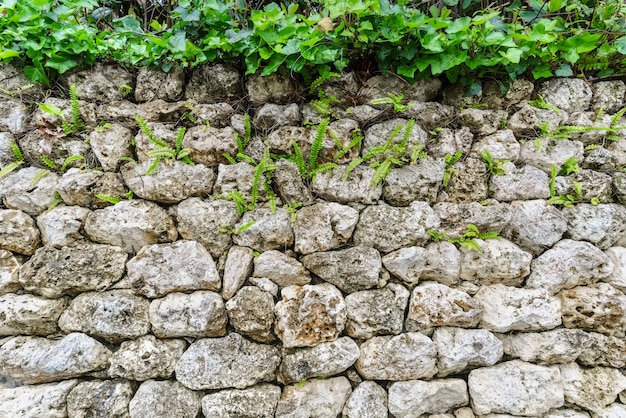 Natuurlijke oude rechthoekbakstenen muur met varen en installaties voor achtergrond