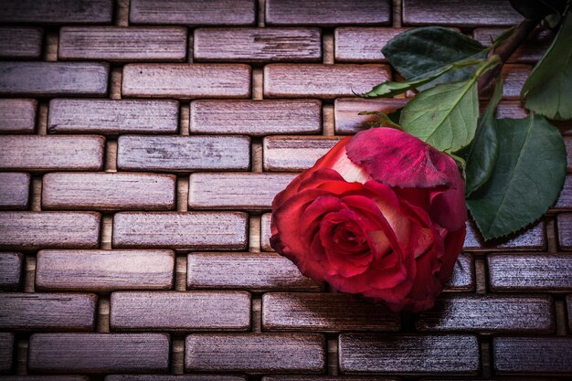 Natuurlijke rood steeg op rieten houten onderleggertje dichte omhooggaande mening