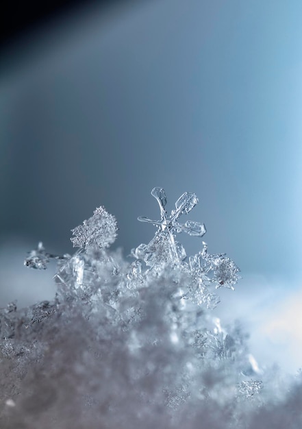 natuurlijke sneeuwvlokken op sneeuw winter