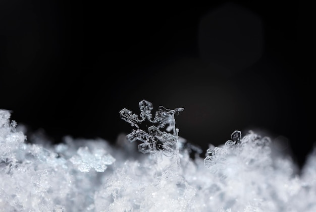 natuurlijke sneeuwvlokken op sneeuw winter