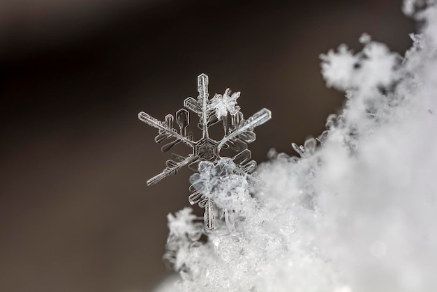 natuurlijke sneeuwvlokken op sneeuw winter