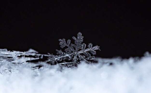 natuurlijke sneeuwvlokken op sneeuw winter