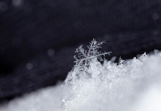 natuurlijke sneeuwvlokken op sneeuw winter