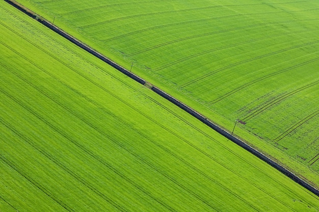 Natuurlijke textuur en patroon. Landbouwvelden met tarwe en gerst van bovenaf