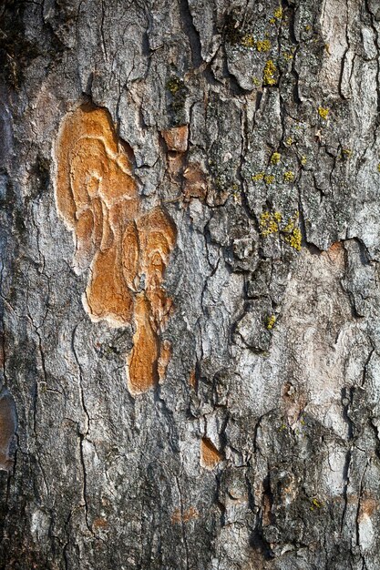 natuurlijke textuur